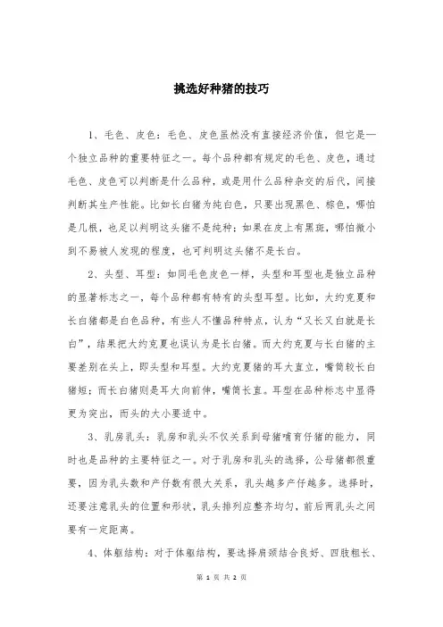 挑选好种猪的技巧