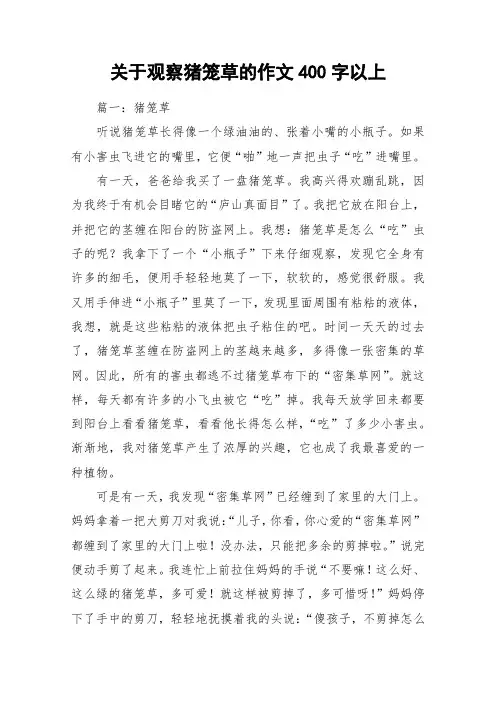 关于观察猪笼草的作文400字以上_作文