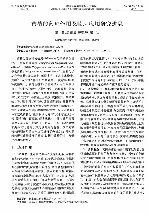黄精的药理作用及临床应用研究进展