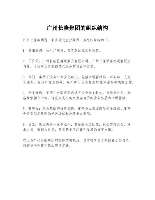 广州长隆集团的组织结构