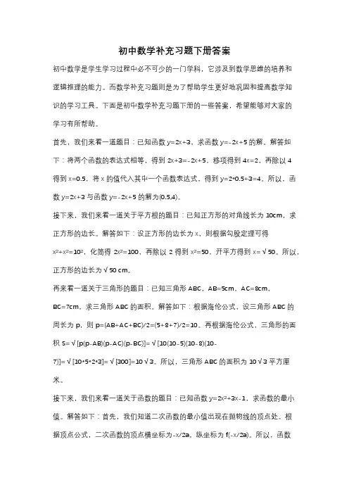 初中数学补充习题下册答案