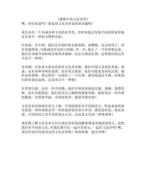 《我眼中的文化差异》
