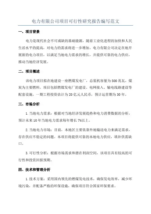 电力有限公司项目可行性研究报告编写范文