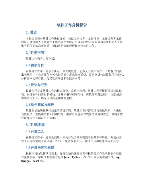 软件工作分析报告