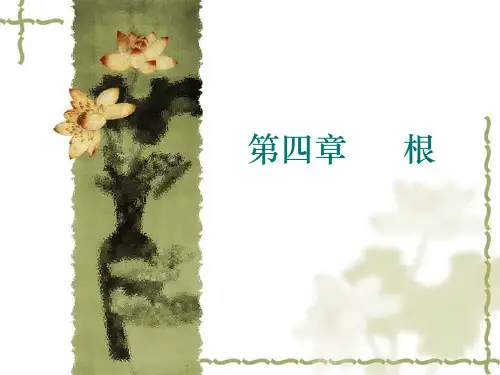 第四章  根