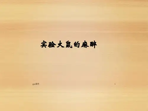 实验大鼠的麻醉  ppt课件