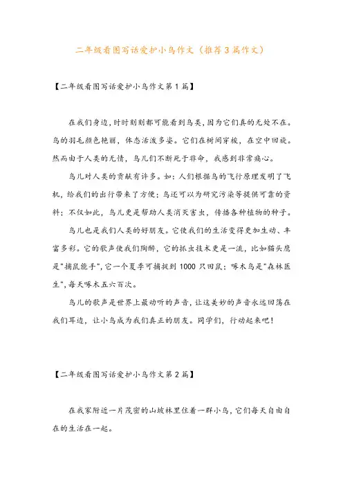 二年级看图写话爱护小鸟作文(推荐3篇作文)