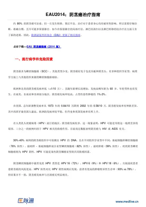 EAU2014阴茎癌治疗指南(中文版)