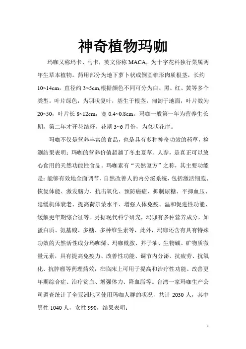 神奇植物玛咖