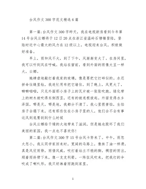 台风作文300字范文(精选6篇)