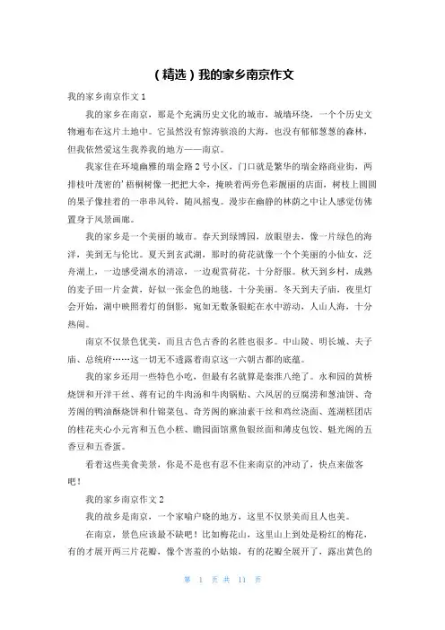 (精选)我的家乡南京作文