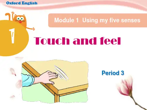 牛津上海版(深圳用)英语四年级下Unit 1《Touch and feel》(Period 3)课件