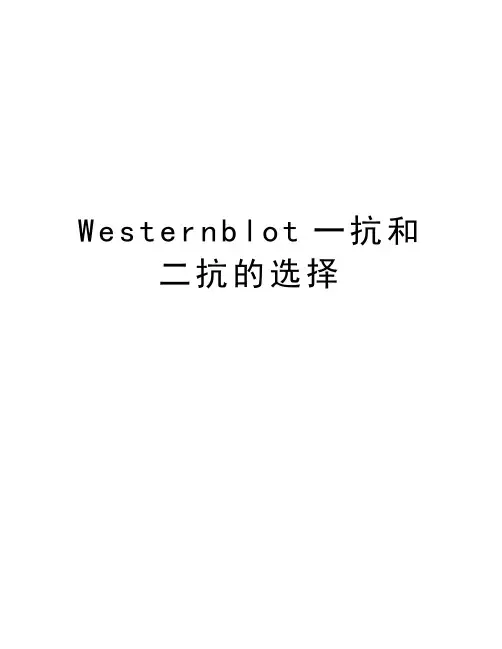 Westernblot一抗和二抗的选择讲解学习