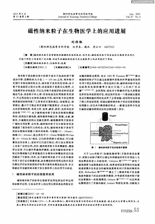 磁性纳米粒子在生物医学上的应用进展