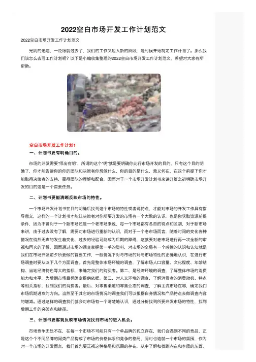 2022空白市场开发工作计划范文