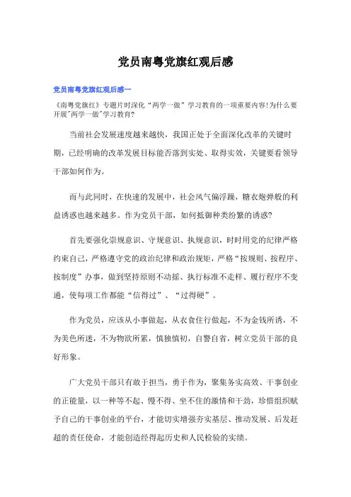 党员南粤党旗红观后感