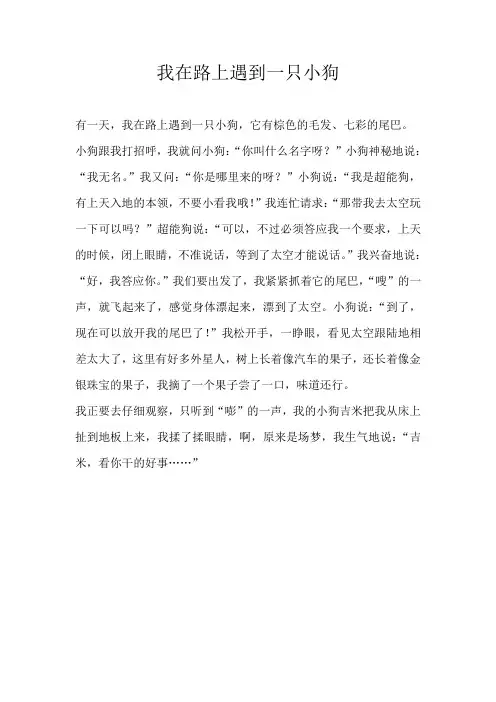 四年级叙事我在路上遇到一只小狗