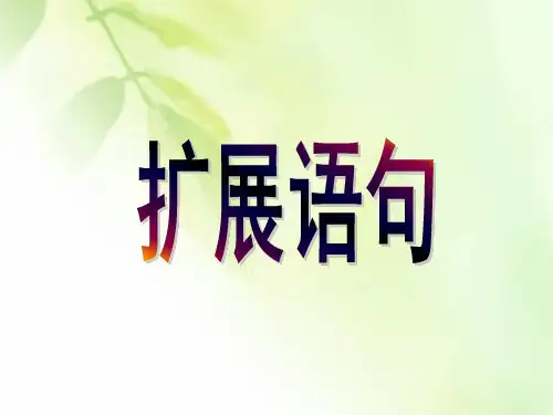 高三语文一轮复习精品课件4：扩展语句