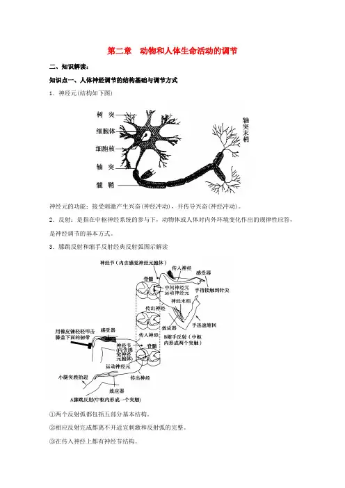 高中生物 第二章动物和人体生命活动的调节期末知识梳理 新人教版必修