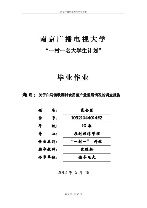 毕业作业