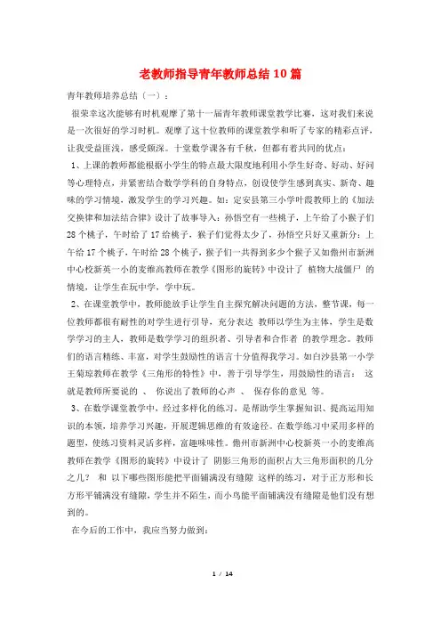 老教师指导青年教师总结10篇