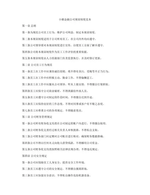 小额金融公司规章制度范本