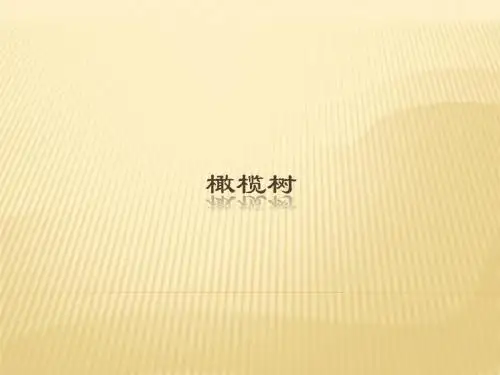 人音版高中音乐选修(演奏)橄榄树_课件1