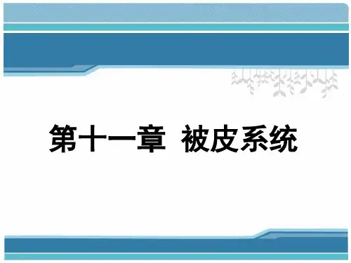 动物组织学与胚胎学-被皮系统