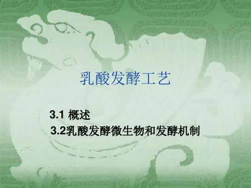 乳酸发酵工艺-精选文档56页