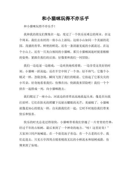 三年级作文那次玩得真高兴之和小猫咪玩得不亦乐乎