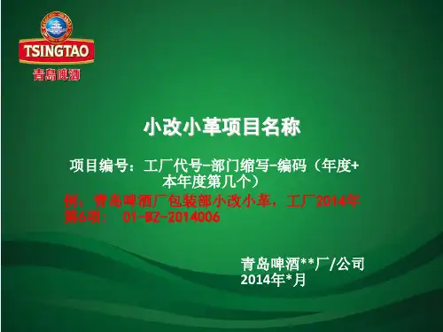 小改小革模板