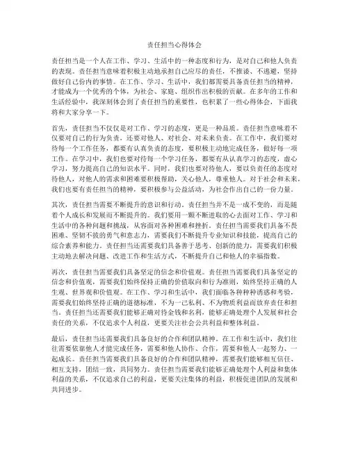 责任担当心得体会