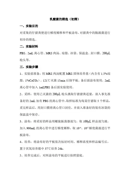 乳酸菌的筛选