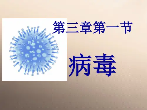 济南版七年级生物上册   2.3.1   病毒 课件(22张PPT)优秀课件
