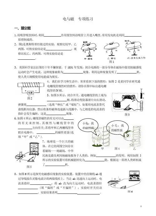 电与磁专项练习(含答案)