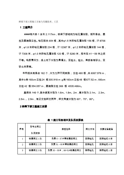 某特大桥桥梁下部工程施工方案与关键技术、工艺