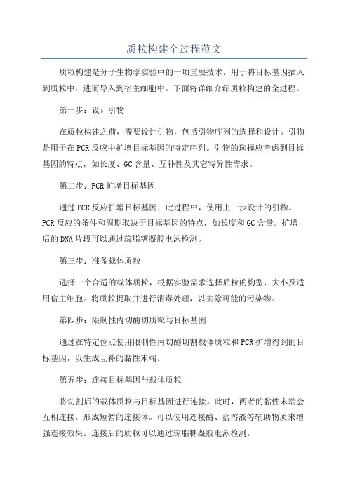 质粒构建全过程范文