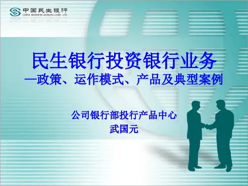 民生银行投资银行业务—政策、运作模式、产品及典型案例-武国元,中国民生银行