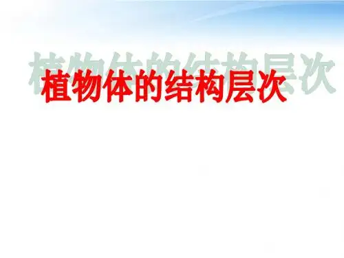 人教版七年级上册生物《植物体的结构层次》课件
