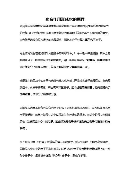 光合作用形成水的原理