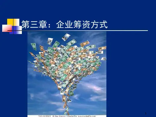 企业筹资方式(PPT 页)