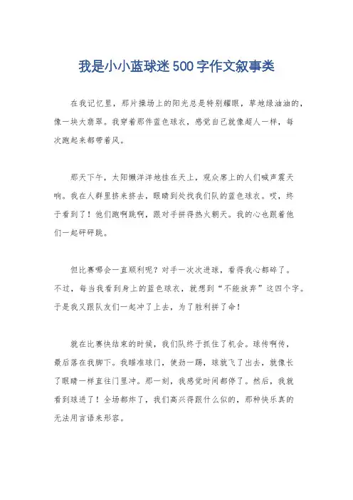 我是小小蓝球迷500字作文叙事类