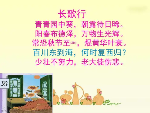 小学六年级语文下《匆匆》ppt课件