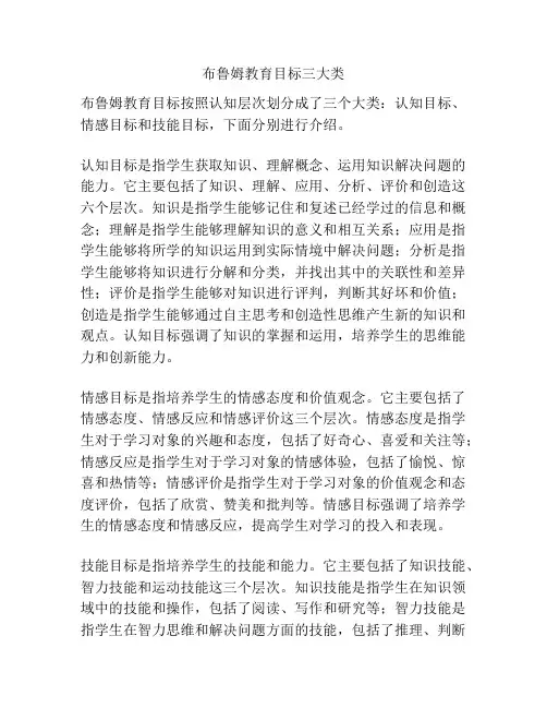 布鲁姆教育目标三大类