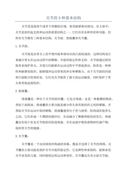 关节的3种基本结构