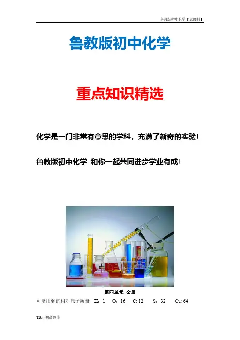 鲁教版初中化学五四制九年级全册《金属》单元测试2