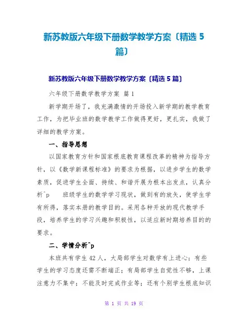 新苏教版六年级下册数学教学计划(精选5篇)
