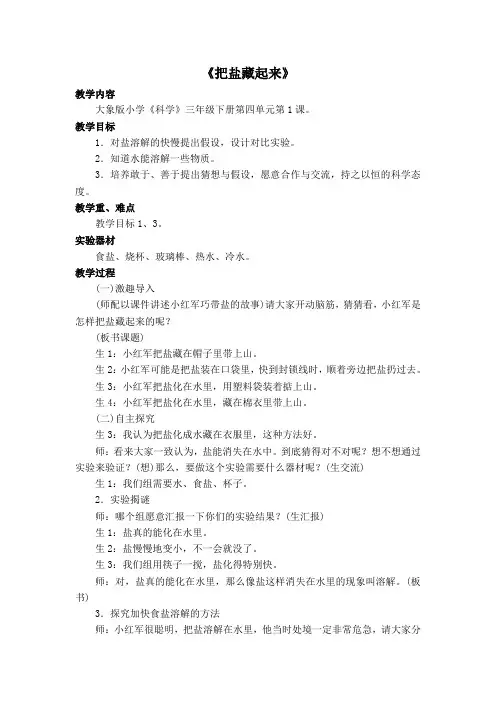《把盐藏起来》教案