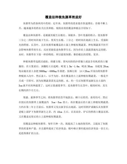 覆盖法种植鱼腥草效益好