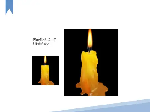 小学科学《蜡烛的变化》